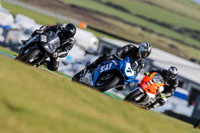 PJ-Motorsport-2019;anglesey-no-limits-trackday;anglesey-photographs;anglesey-trackday-photographs;enduro-digital-images;event-digital-images;eventdigitalimages;no-limits-trackdays;peter-wileman-photography;racing-digital-images;trac-mon;trackday-digital-images;trackday-photos;ty-croes